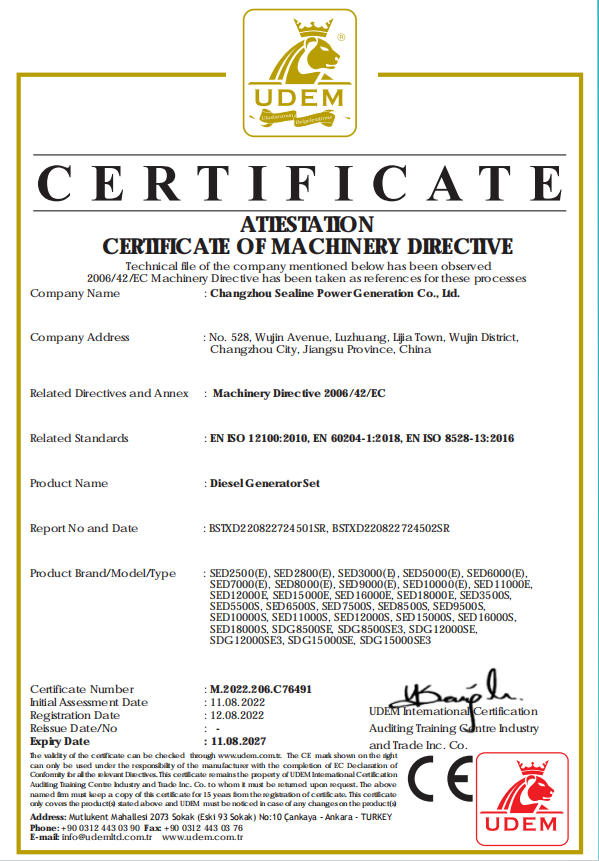 CE Diesel Generator Set 