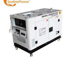 10Kw Ev80 Powered Water Cooled Two Cylinder Diesel Genset