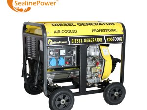Sed7000(E) Dynamo Diesel Generator 5000 Watts Single/Three Phase Cheap Price Open Type Diesel Generator 50/60Hz