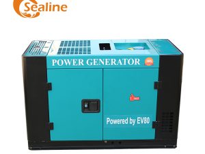 Sed15000S Water Cooled Diesel Generators 10Kw Super Silent Double Cylinder Diesel Generator Set 10Kva Alternator