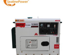 5Kva 5Kw Portable Silent Diesel Generator Good Diesel Gen