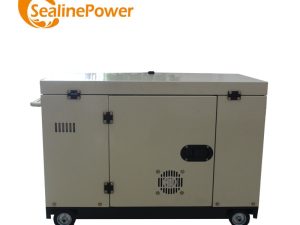 Air Cooled 10Kw Super Silent Double Cylinder Diesel Generator Set 10Kva Alternator