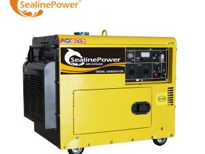 7.5Kva Silent Diesel Generator 50Hz 220V Small Silent Diesel Generator For Sale