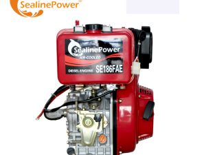 Changzhou Factory 9Hp Single Cylinder Machinery Engines Air Cooled Diesel 186F Diesel Engine