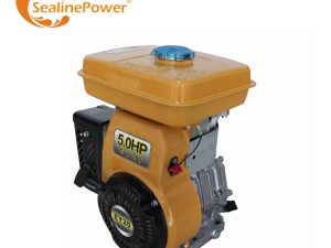 5Hp Gasoline Engine Ey20 Factory Direct Sale