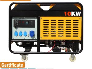 Factory Sale Diesel Generator With Two Cylinder Engine 2V80/292/295 12Kw Power Generator 15Kva Open Type Diesel Generator