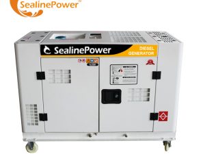 New Product 10Kw Two Cylinder Engine Sev80 Super Silent Type Office Diesel Generator